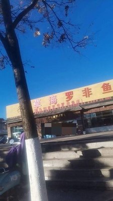 Tiantian Luo Fei Fish Farm (Fengyuan Road Branch)