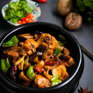 Yuanyi Braised Chicken Rice