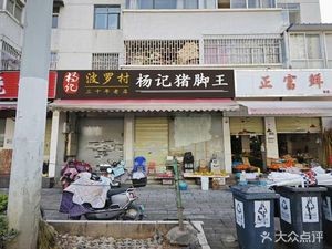 Bromeliad Village Yang's Authentic Pig Trotter King