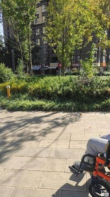 Tianfu Bamboo Chicken (Junfa Sheng Tangcheng Branch)