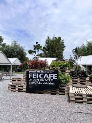 FEI CAFE Zhongfei Yunnan Arabica Coffee