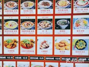 Hong Kong Style Roast Goose Rice & Cantonese Pig Offal Porridge