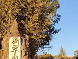 Xin Cui Garden (Shalan East Village Store)