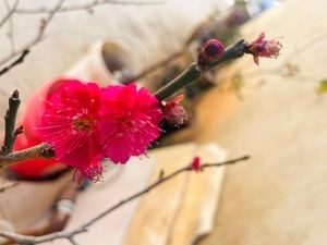 Taipingshao Xiaoyan Lamb Soup Pot No.2 Branch