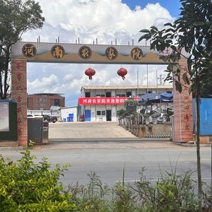 Henan Rural Courtyard