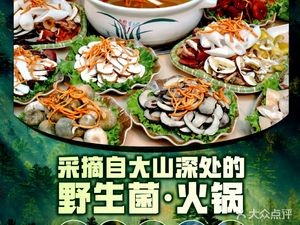 蘑菇等菌·野生菌火锅·云南特色菜(斗南花市店 )
