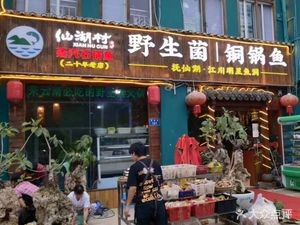 仙湖村·江川野生菌·石锅鱼(洛龙公园店)