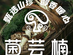Jun Yun Nan Wild Mushroom Hot Pot · Vegetable Buffet (Dounan Flower Market Store)