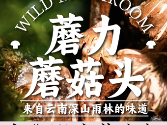 Moli Mushroom Head · Wild Mushroom Hot Pot (Hexie Century Branch)