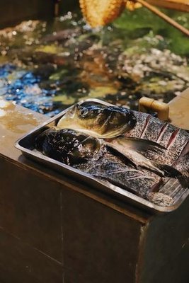 Four Seas One Family·Earth Pot Head Fish (International Convention Center Branch)