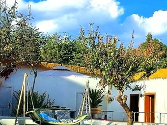 Lao Mojiang Roast Chicken (University Town Branch)