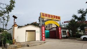 Majie Nutritious African Catfish