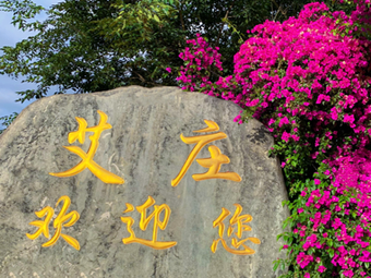 Anning Aizhuang Grape Garden Farmhouse