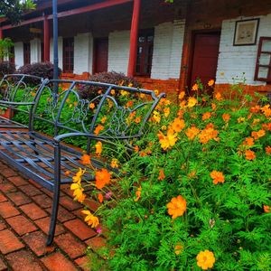 Hongfang Old Stove Fire Chicken