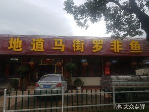 Authentic Bullfrog and Tilapia