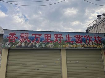 Fragrant Wild Mushroom