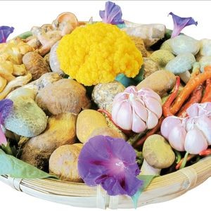 Junqi Cai Gu Wild Mushroom Hot Pot (Mushuihua Branch)