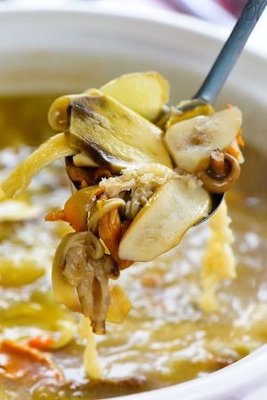 Changliuyuan Wild Mushroom Hot Pot