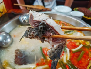 Linji Old Brand Tilapia Restaurant
