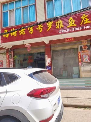 Majie Old Taste Tilapia Restaurant (Wenlong Road Store)
