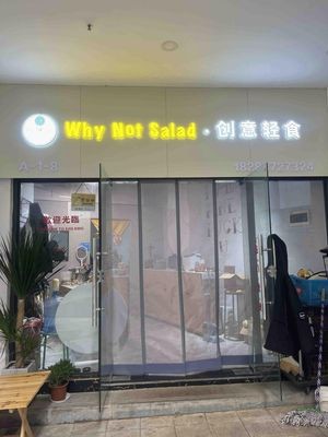 Why Not Salad · Creative Light Meals