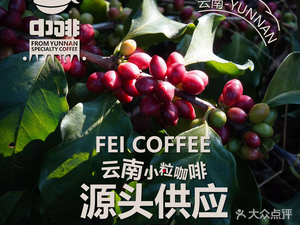 Zhong Fei · Yunnan Arabica Coffee (Haigeng Park Store)