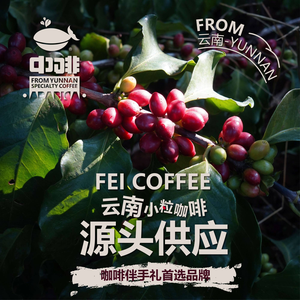 Zhongfei · Yunnan Arabica Coffee (Minzu Village Branch)