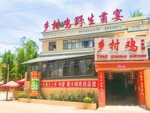 Village Chicken Farmhouse Wild Mushroom Banquet (Anning Warm Spring Store)