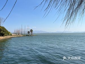 Talent Apartment Cafe