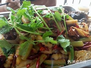 Ten Meter Farmhouse Garden