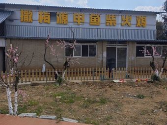 Same Me Yuan Turtle Clay Pot Chicken