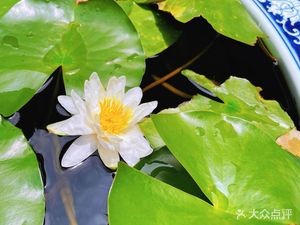 Shiping Huiguan · Yunnan Cuisine · Cultural Banquet (Kunming Cuilu Store)