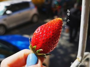 Hong Qing Yuan Xiao Guo Mieliàn