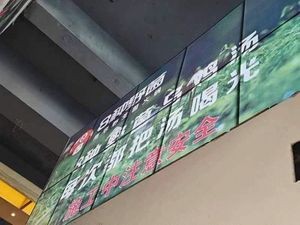 8 Wild Mushrooms Nanhua Wild Mushroom Hot Pot (Kunming Old Street Branch)