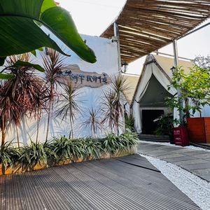 Chuncheng Shuxia Garden Restaurant Lamb Hot Pot Roast Whole Lamb (Wanhong Night Market Branch)