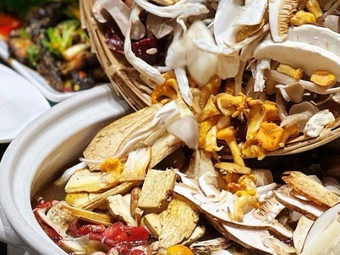 Jun Dodo · Wild Mushroom Hotpot (Dongjiawan Branch)