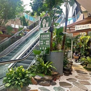 Huaxu Huafang Flower Coffee (Shuncheng Shopping Center Branch)