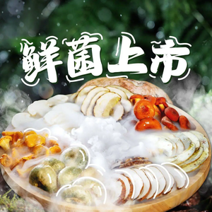 菌彩野生菌鲜牛肉火锅(顺城店)