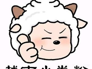 Authentic Vietnamese Rice Noodle Rolls