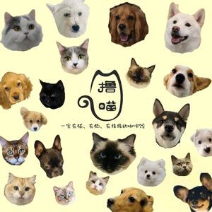 Soul Cat & Dog Theme Café (Zhongyang Avenue Store)