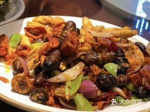 Northeast Handmade Dumplings & Home-style Dishes