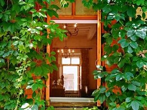 Aoguya Coffee Restaurant (Zhuanjie Store)