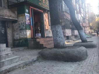 Jia Shan Burger Shop