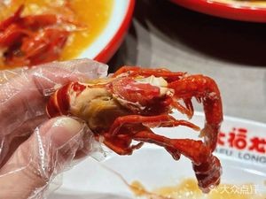 Da Fu Lobster Beer Plaza (Wanda Huazhai E District Store)