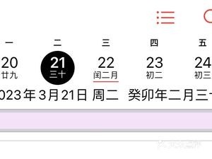 Old Du's Braised Chicken Rice (Wanda Huazhai Branch)