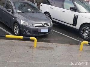 Crab Manor Fresh Crab (Hasi Branch)