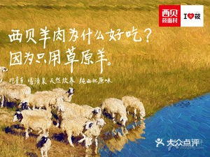 Old Soup Steamed Dumplings & Homestyle Dishes