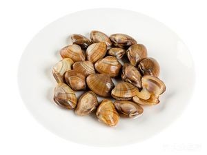 Chao Fu Da Seafood (Bayan Branch)