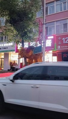 Aunt Feng's Smoked and Marinated Food (Nongji Community Store)