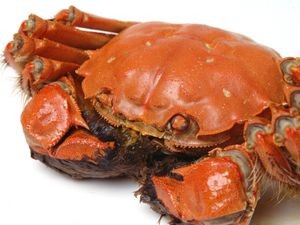 Seafood House (Small Market Store)